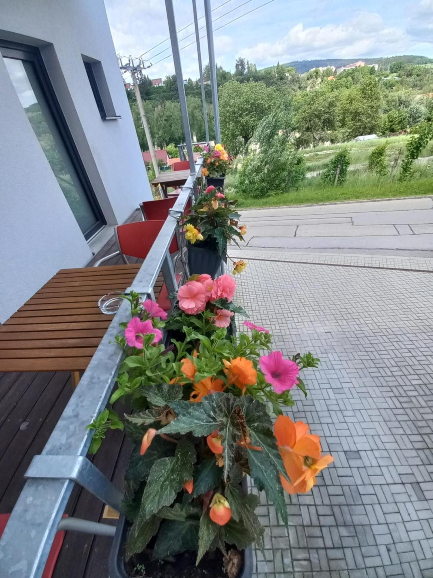Pension Salma Český Krumlov Buitenkant foto