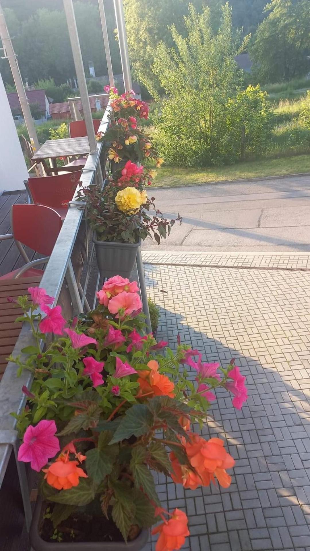 Pension Salma Český Krumlov Buitenkant foto